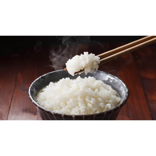 JF20110 [JASMINE CALROSE-5KG] JASMINE CALROSE RICE