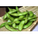 JF50003 [KEDAMAME] KANIKA EDAMAME