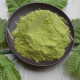 FM30001 [WASABI POWDER] WASABI POWDER