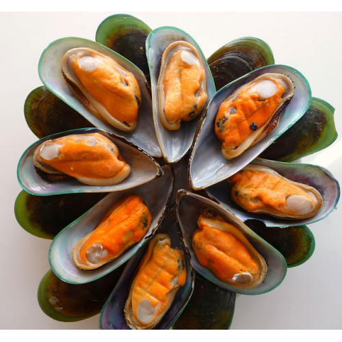 SFSH20005 [HSM-NZ] NZ HALF SHELL MUSSEL (TALLEY)-NZ SHELL