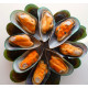 SFSH20005 [HSM-NZ] NZ HALF SHELL MUSSEL (TALLEY)-NZ SHELL