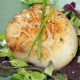 SFSH40081 [SEA SCALLOP-U10] SEA SCALLOP U10