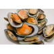 SFSH20005 [HSM-NZ] NZ HALF SHELL MUSSEL (TALLEY)-NZ SHELL