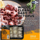 SFSQ10081 [KWB-OCTOPUS-40/60] FROZEN WHOLE CLEANED BABY OCTOPUS SIZE : 40/60