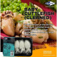 SFSQ10084 [KWB/CUTTLEFISH-10/20] KANIKA WHOLE CLEANED BABY CUTTLEFISH SIZE : 10/20