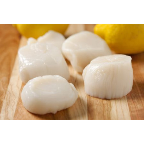 SFSH40041 [SEA SCALLOP-20/30] SEA SCALLOP, SIZE : 20-30