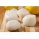 SFSH40041 [SEA SCALLOP-20/30] SEA SCALLOP, SIZE : 20-30