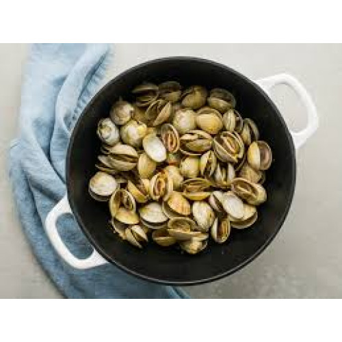 SFSH10024 [WS-CLAM/Z 40%] FROZEN WHOLE SHELL CLAM 30-40PCS