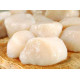 SFSH40081 [SEA SCALLOP-U10] SEA SCALLOP U10