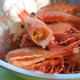 SFPR50025 [PRAWN-HEAD] PRAWN HEAD