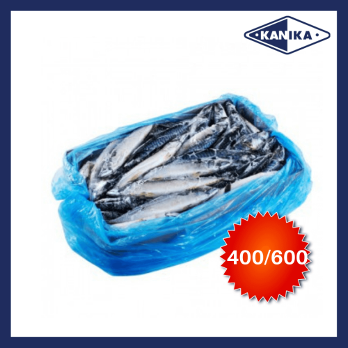 JF40016 [SABA MAC-4/6] FROZEN NORWAY SABA MACKEREL 400 - 600