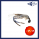 SFPR10067 [SCAMPI-11/15] FROZEN HEAD ON SCAMPI 11/15