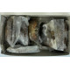 SFCR30028 [CSS-40/120-150] FROZEN SOFT SHELL CRAB SIZE : 120/150