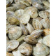 SFSH10024 [WS-CLAM/Z 40%] FROZEN WHOLE SHELL CLAM 30-40PCS