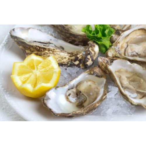 SFSH30012 [OHS-7/10] FROZEN 1/2 SHELL OYSTER 7/10