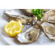 SFSH30012 [OHS-7/10] FROZEN 1/2 SHELL OYSTER 7/10