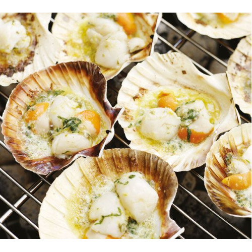 SFSH40038 [1/2 SHELL SCALLOP 10-12CM] 1/2 SHELL SCALLOP 10-12 CM
