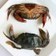 SFCR30032 [CSS-40/100-120] FROZEN SOFT SHELL CRAB SIZE : 100/120