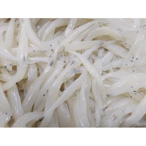 SFFR30072 [F SILVER FISH-8/10] FROZEN SILVER FISH 1KG 8/10