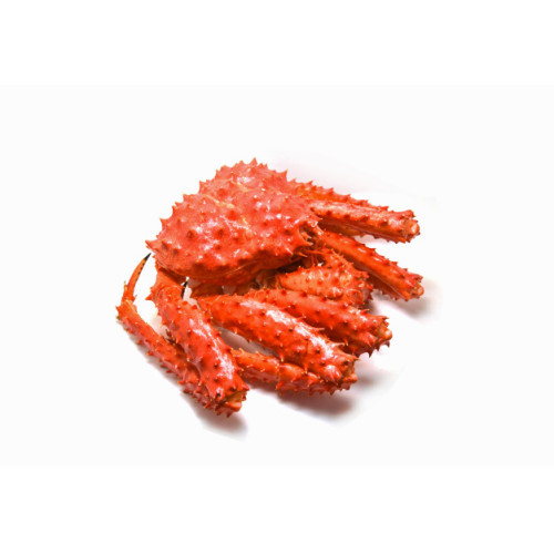 SFCR40005 [KGCB-14/16] FROZEN WHOLE KING CRAB SIZE:1400G-1600G